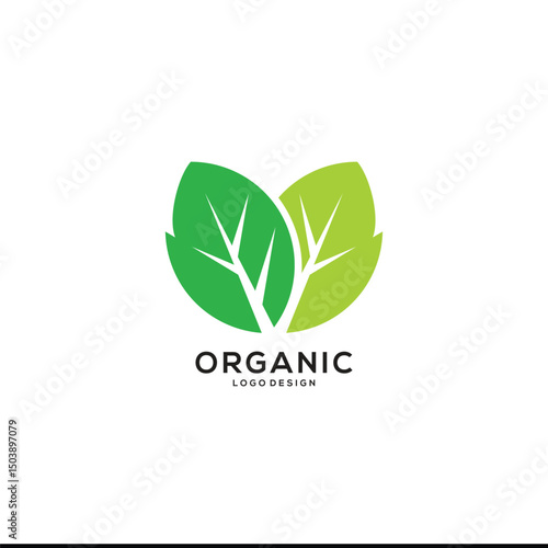 Green Leaf Icon Vector  Logo Template