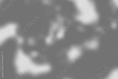 Foto Aesthetic Shadow Overlay