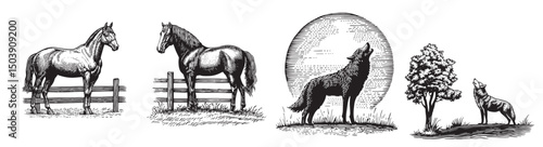 Vintage Style Engravings of Horses and Howling Wolves in Nature, logo design, engraving design, vector illustration