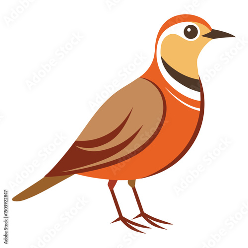 A beautiful skylark bird vector illustration