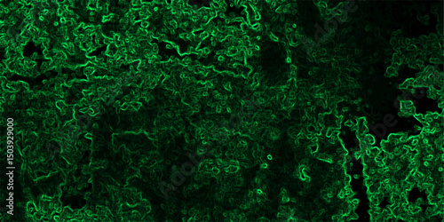 Abstract dark, texture with a complex network of glowing neon green contour lines and organic patterns. Black, while the electric green filaments form chaotic, squiggly paths across the canvas,