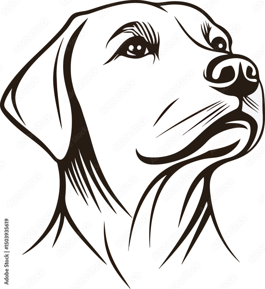 Simple Labrador Line Art Simple Labrador Line Art