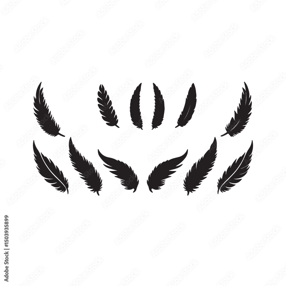 Fototapeta premium bird feather silhouettes isolated on white background