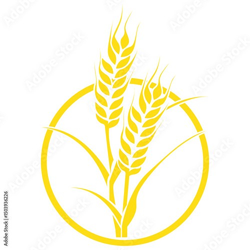 Wheat icon. Durum wheat pasta label. Bakery logo. Healthy nourishment illustration. Cereal pictogram. Gluten sign.