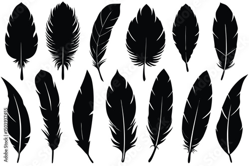 Collection of isolated black feather silhouettes on white background different feather shapes
