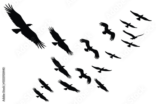 Flock of eagles silhouettes soaring against a white sky background illustration