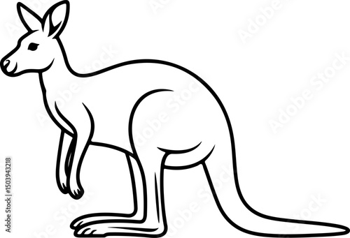 Kangaroo silhouette and line art vector illustration.