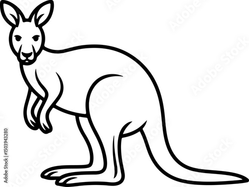 Kangaroo silhouette and line art vector illustration.