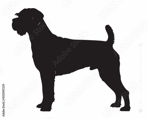Silhouette of a standing border terrier with a docked tail and a wiry coat against a white background created with generated ai