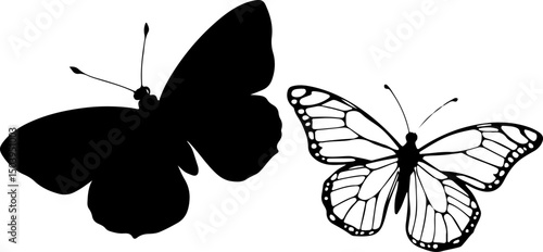 Two butterflies are rendered as vector