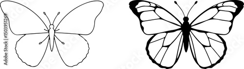 The image displays two butterfly illustrations in black and white. The left butterfly shows a simple outline, while the right one has more defined details.