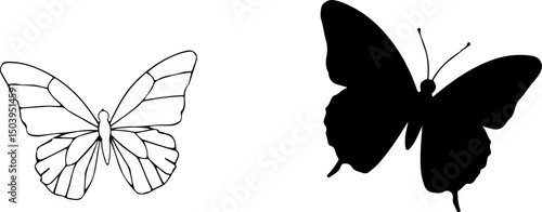 Two butterflies are shown side-by-side: one is an outline, and one is a solid silhouette.