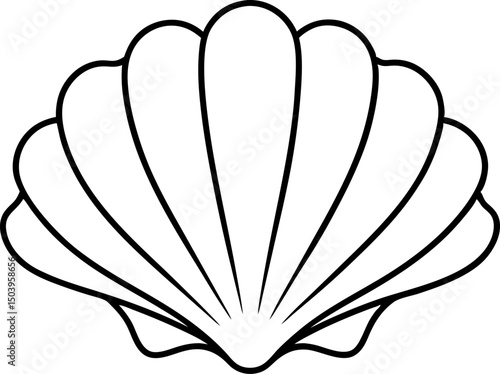 Seashell Line Art Vector Illustration