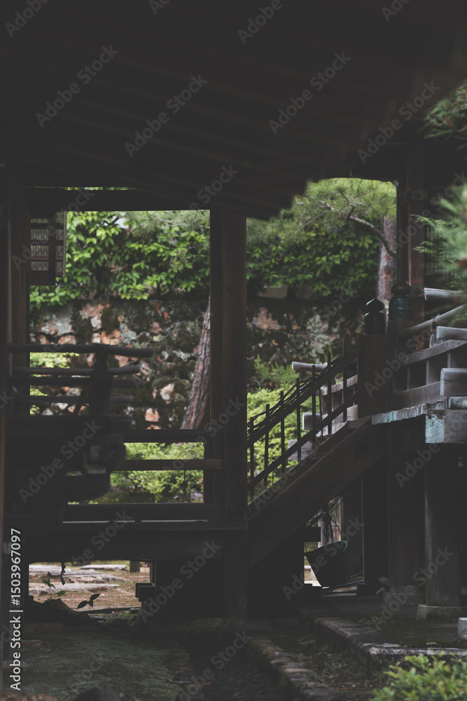 Fototapeta premium 新緑の仁和寺