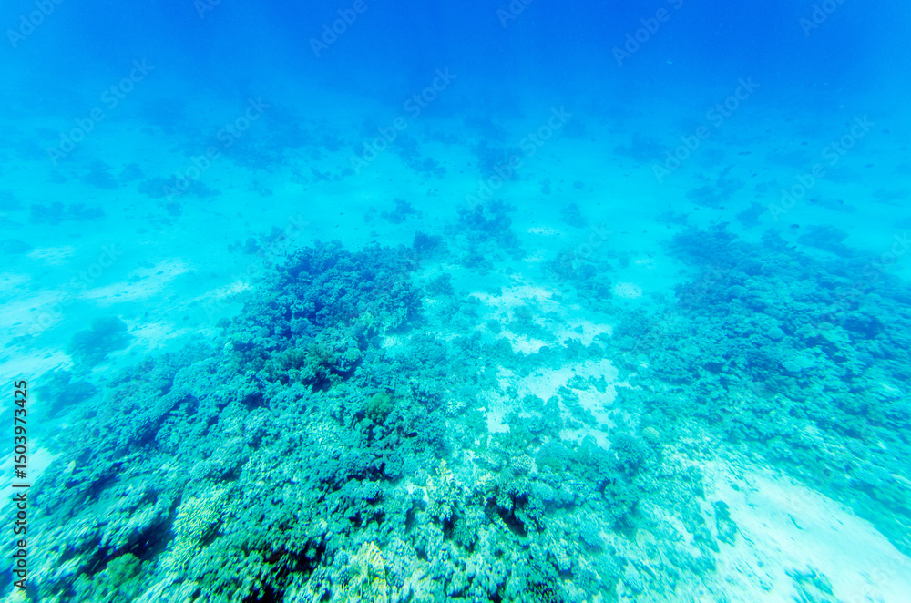 Naklejka premium Expansive underwater scene showcases coral formations bathed in blue light. Depth offers serene view, depicting marine life habitat with shadows and textures