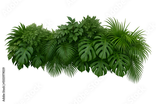 Fototapeta Naklejka Na Ścianę i Meble -  Tropical leaves foliage plant jungle bush floral arrangement nature backdrop isolated on white background, clipping path included.