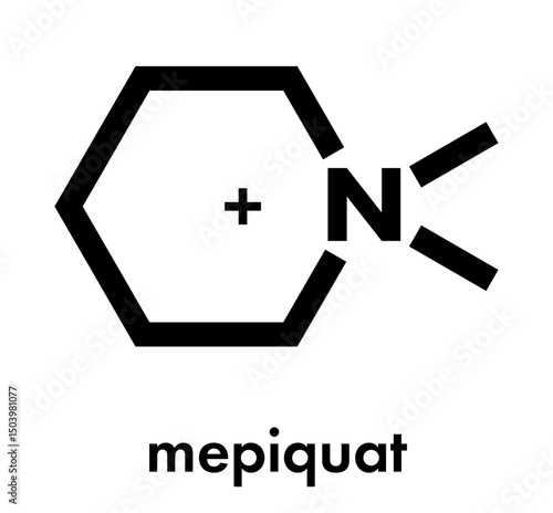 Mepiquat plant growth regulator molecule. Skeletal formula.