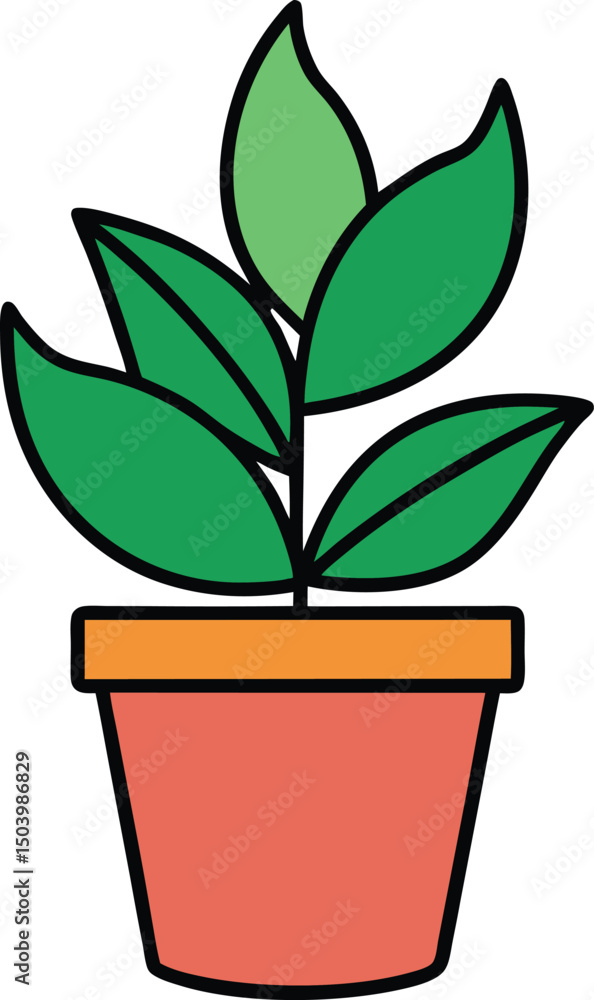 green plant in a pot green plant in a pot