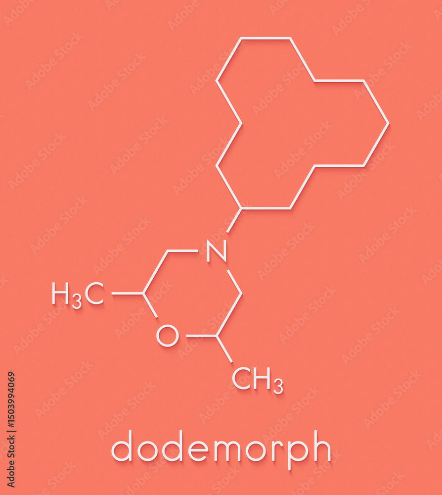 Fototapeta premium Dodemorph contact fungicide molecule. Skeletal formula.