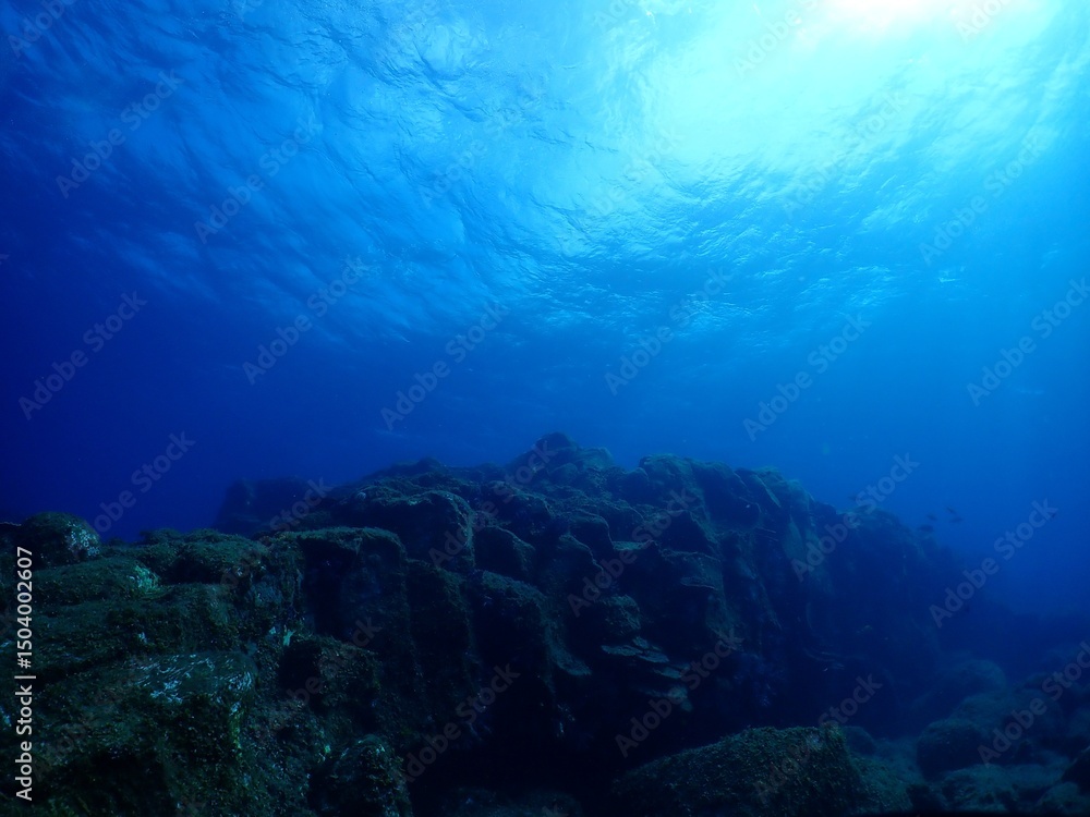 Fototapeta premium Underwater Columnar jointing in Izu Oshima