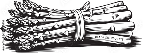 Black and white illustration of a bunch of fresh asparagus tied with string