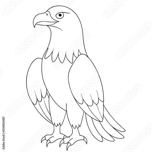 Bald eagle perched firmly with its sharp beak outlined against a white backdrop