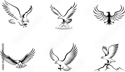 Set of black and white eagle illustrations in various flight poses