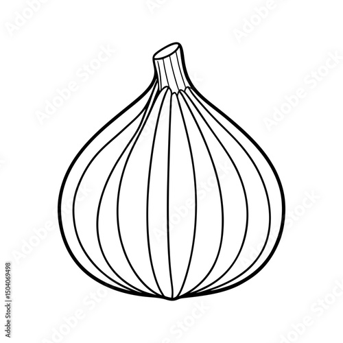 Garlic Bulb Adult and Kids Coloring Page Vector