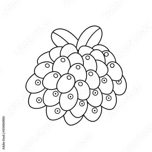 Raisins Adult and Kids Coloring Page Vector