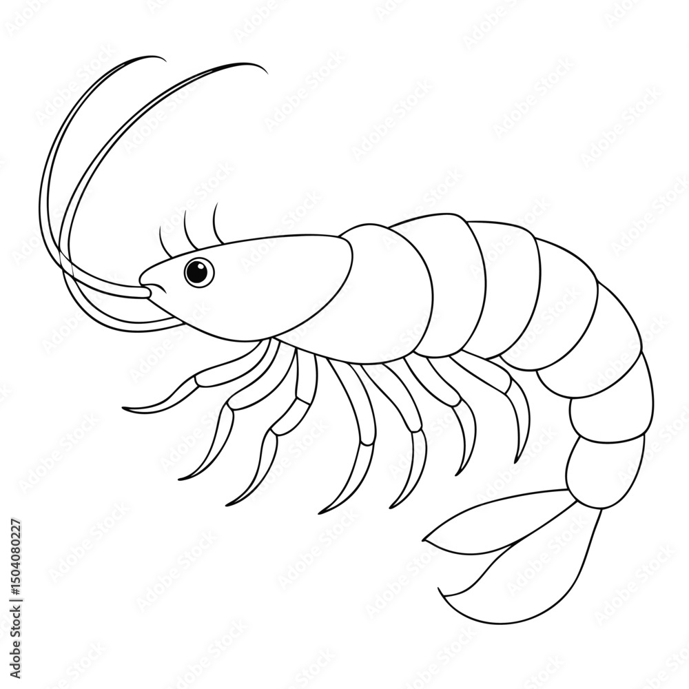Obraz premium Line art illustrates a single white shrimp with curved antennae and tail in profile