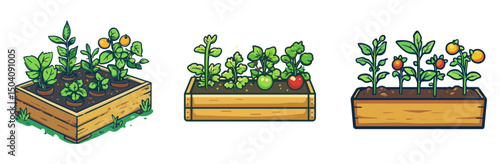 Gardening with three raised wooden planters showcasing vibrant plants in various growth stages during a sunny day