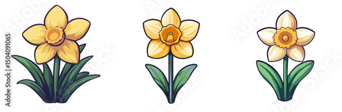 Charming collection of 2d vector daffodil flowers in various stages of bloom