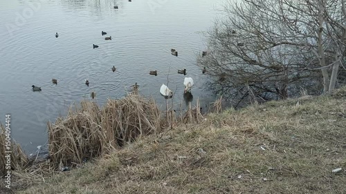 Wallpaper Mural Branches reach towards the sky on a clear day in a tranquil forest setting Torontodigital.ca