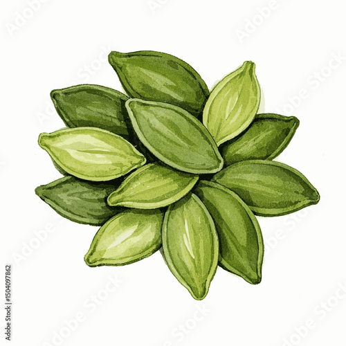 Autumn's Bounty: Seed & Wash pumpkin seed isolated watercolor vector illustration svg