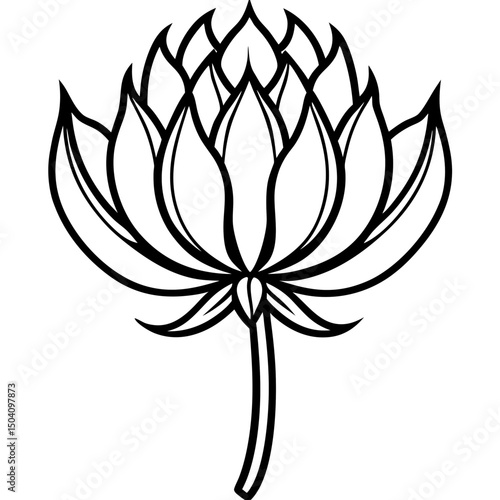 Simple Allium Vector on White