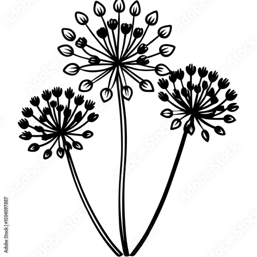 Simple Allium Vector on White