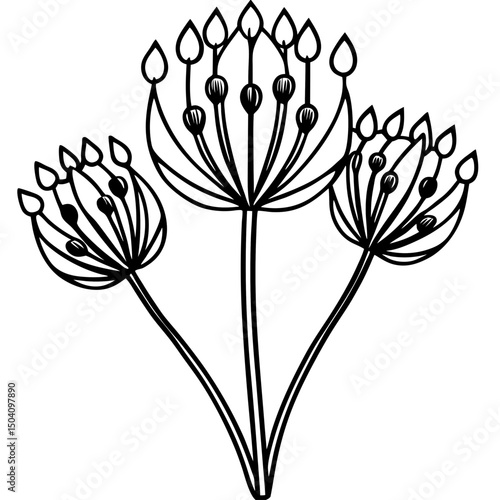 Simple Allium Vector on White