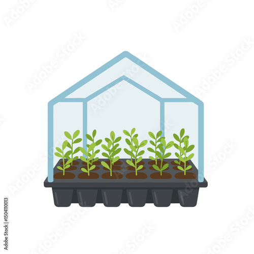 Greenhouse icon with young plants growing in seed trays for gardening icon  