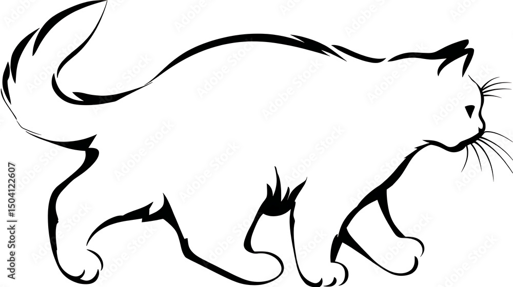 A cat is walking on a white background A cat is walking on a white background