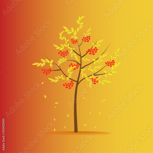 rowan tree in autumn falling yellow leaves red berries 