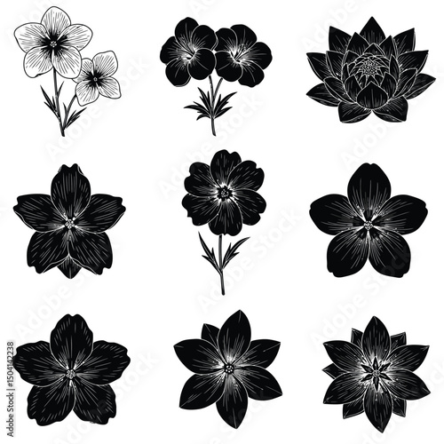 set of black and white flowers
