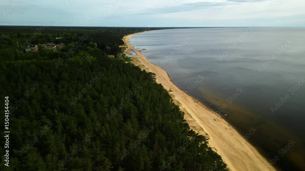 custom made wallpaper toronto digitalBreathtaking Aerial Footage That Highlights a Serene Beach Alongside a Beautiful, Lush Forested Landscape Nearby
