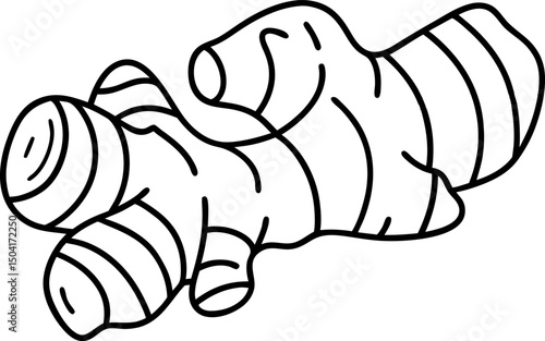 ginger root illustration simplified line art black and white spicy herb  outline
