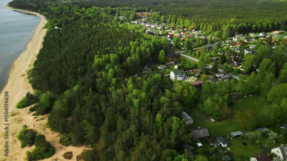 custom made wallpaper toronto digitalStunning Aerial Footage Capturing a Lush Green Forest and a Serene Beach by the Charming Waterfront Community