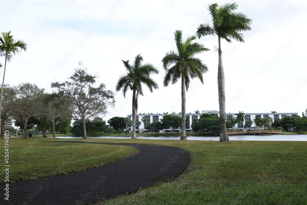 Obraz premium walking path in a park with a view of a lake and palm trees in the background