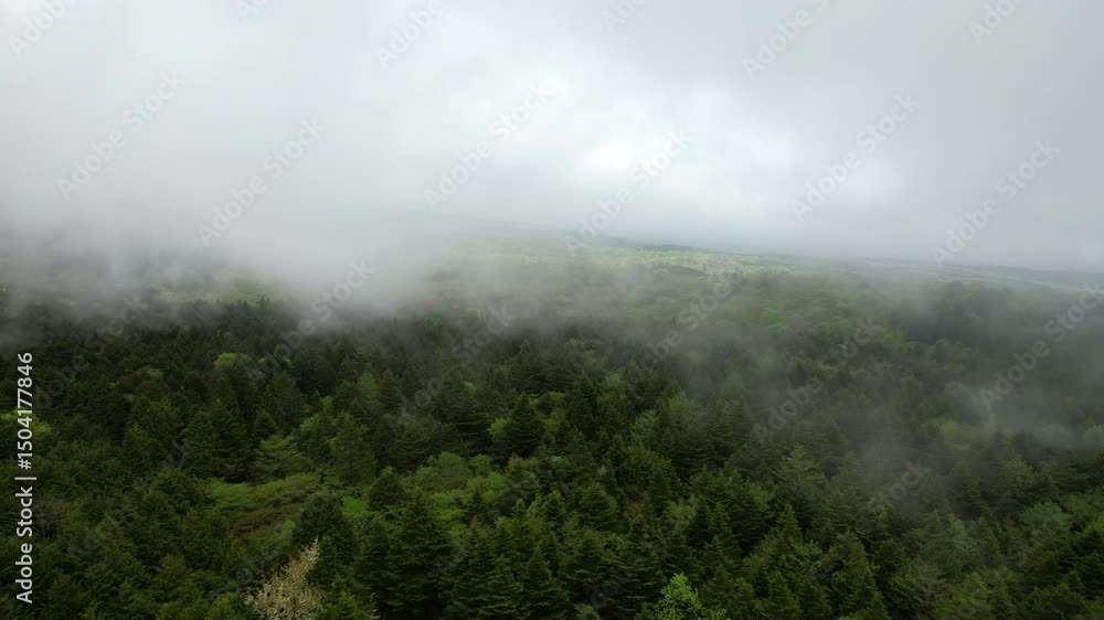 ⌘ドローン空撮 雲の中を行く ⌘ドローン空撮 雲の中を行く
