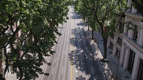 Tree-lined city street with light traffic and bright summer sunlight

