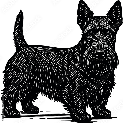 Scottish Terrier vector black silhouette print design