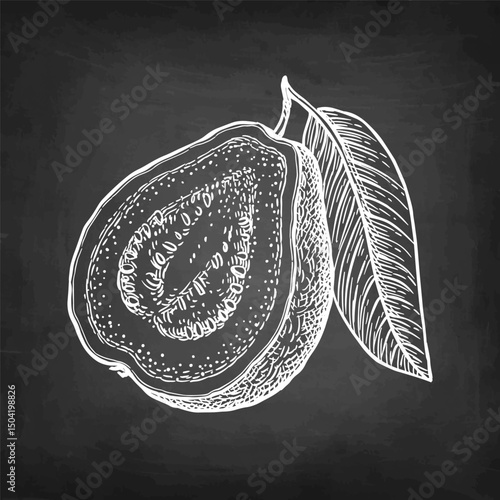 Sliced guava with leaf chalk sketch