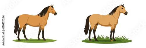 Horses standing on grass with a natural background during a sunny day in a peaceful setting